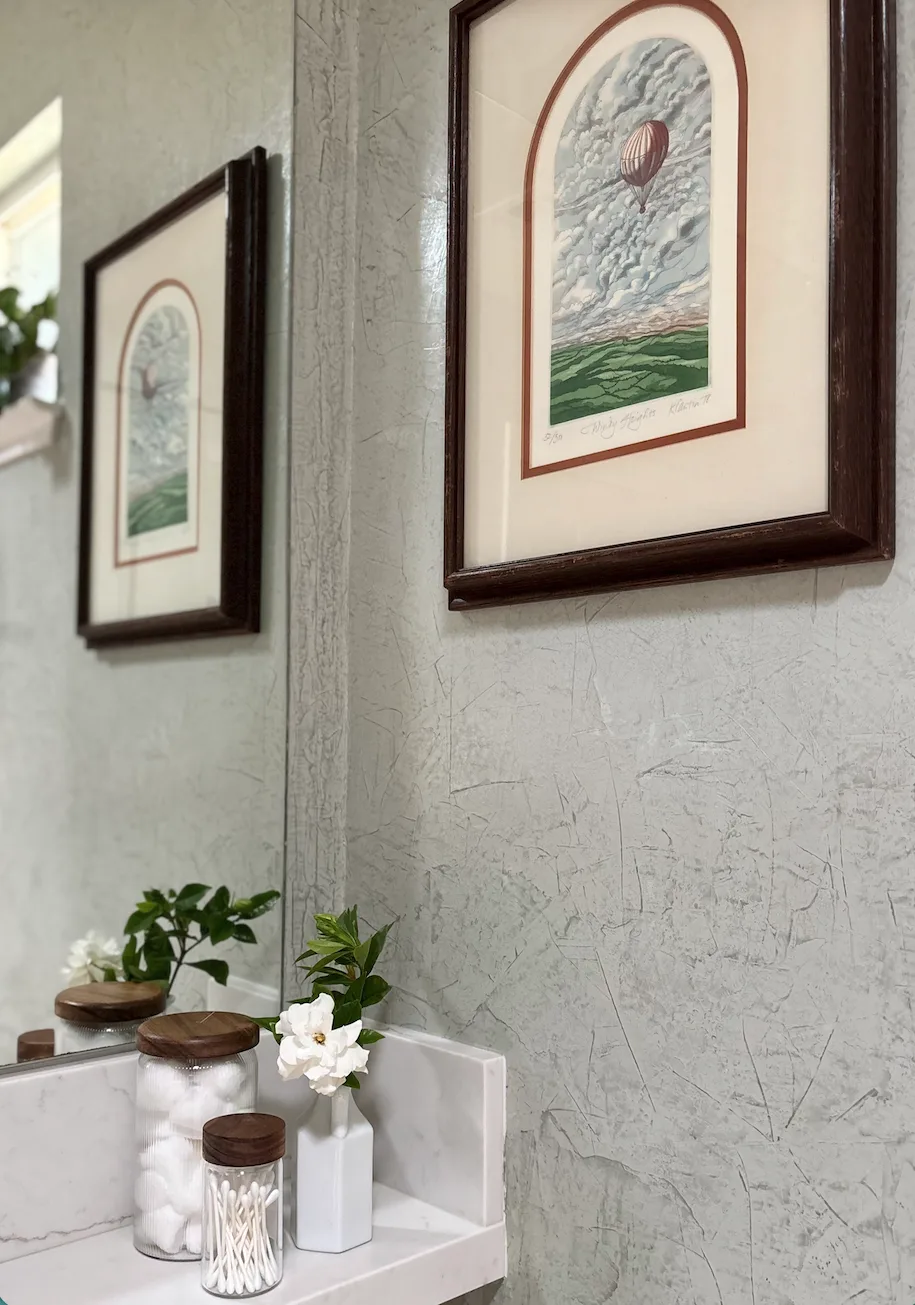 Framed hot-air balloon artwork with textured plaster walls and a small shelf of greenery