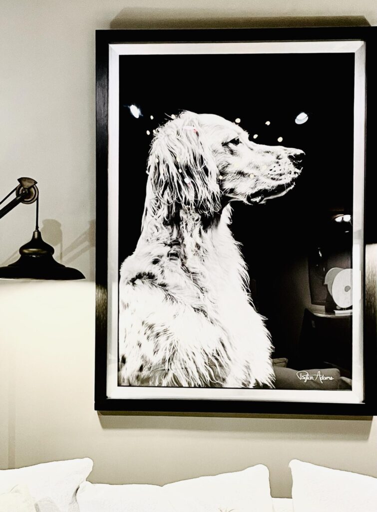 A contemporary interior featuring a large framed black-and-white portrait of a dog, complementing the modern decor with neutr