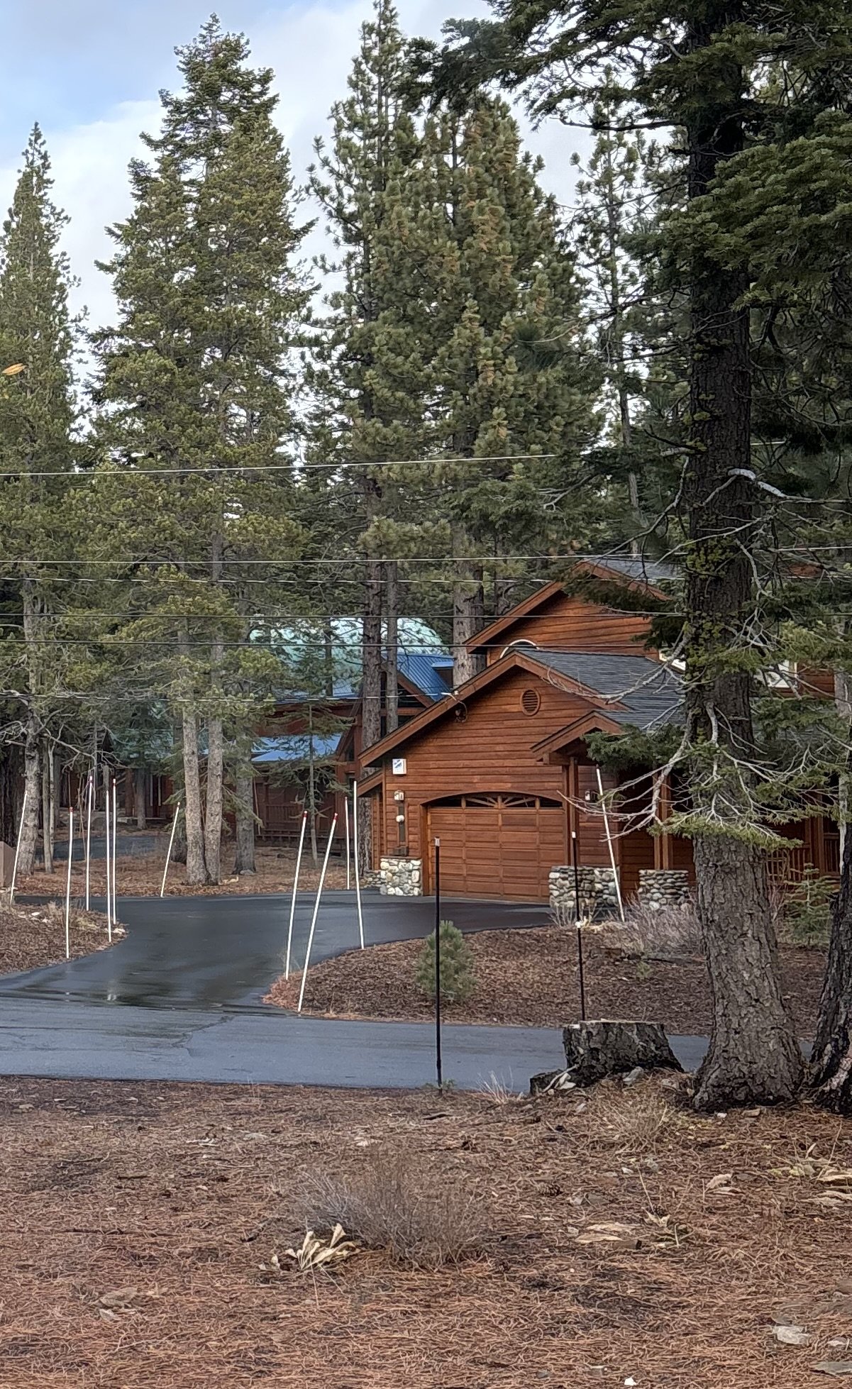 A driveway leading to a wooden cabin-style house surrounded by tall pine trees in a forested area. — Phased Foundation Protection From Salt Water In Arden-Arcade - Interior Designer