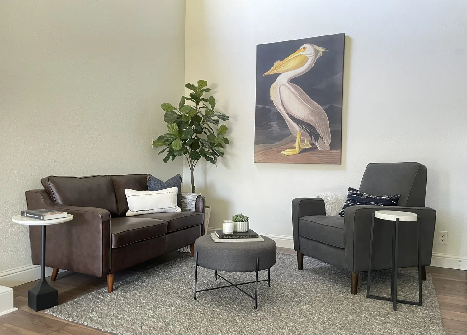Eichler Home Remodeling San Mateo