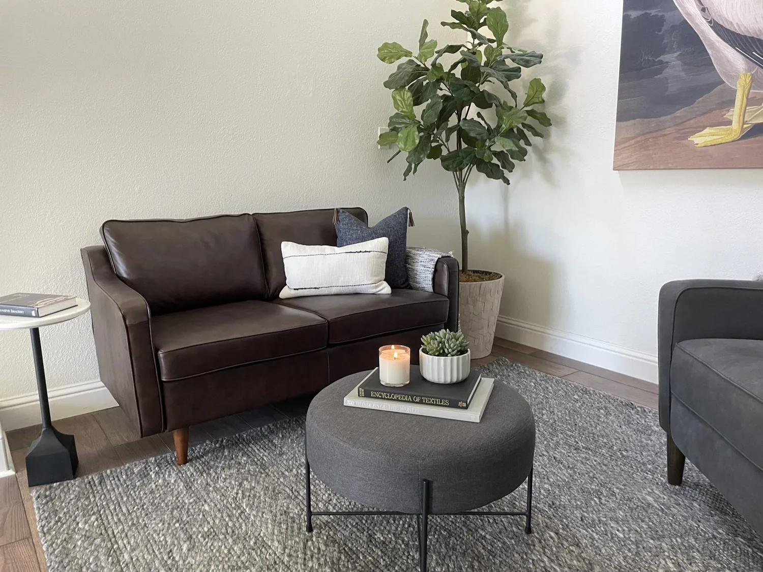 Los Gatos Adu Regulations and Permitting