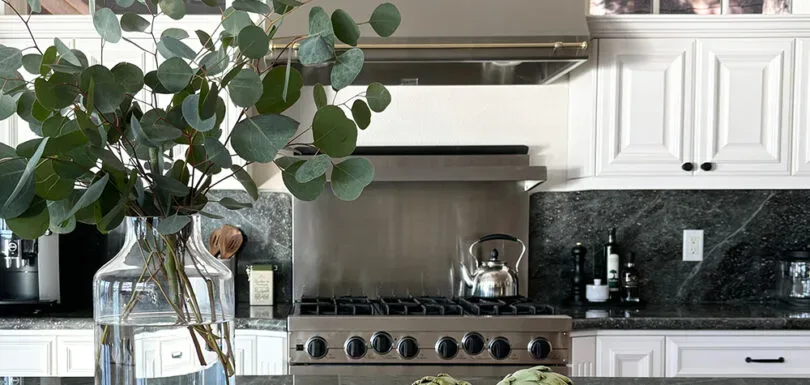 A modern kitchen with white cabinetry, a stainless steel stove and hood, dark granite backsplash, and a glass vase with green foliage on the counter