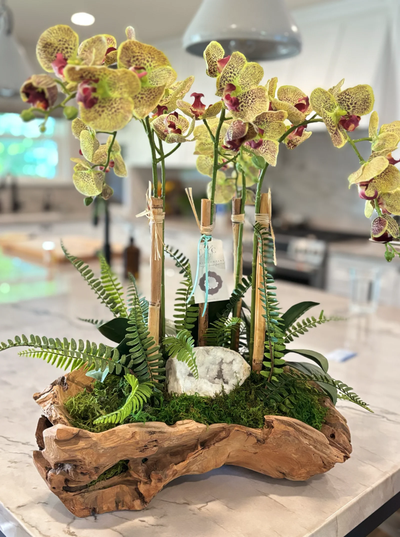 Orchid and fern arrangement in a driftwood base on the marble island at the Pacific Heights showhouse